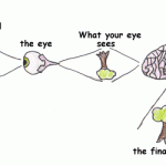 How long does it take the eye to process light